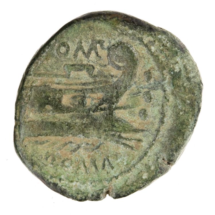 RRC 334/5, реверс, American Numismatic Society (ans)