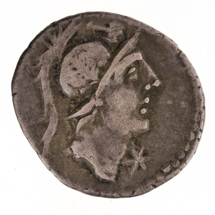 RRC 335/3d, obverse, American Numismatic Society (ans)