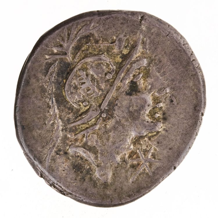 RRC 335/3d, obverse, American Numismatic Society (ans)