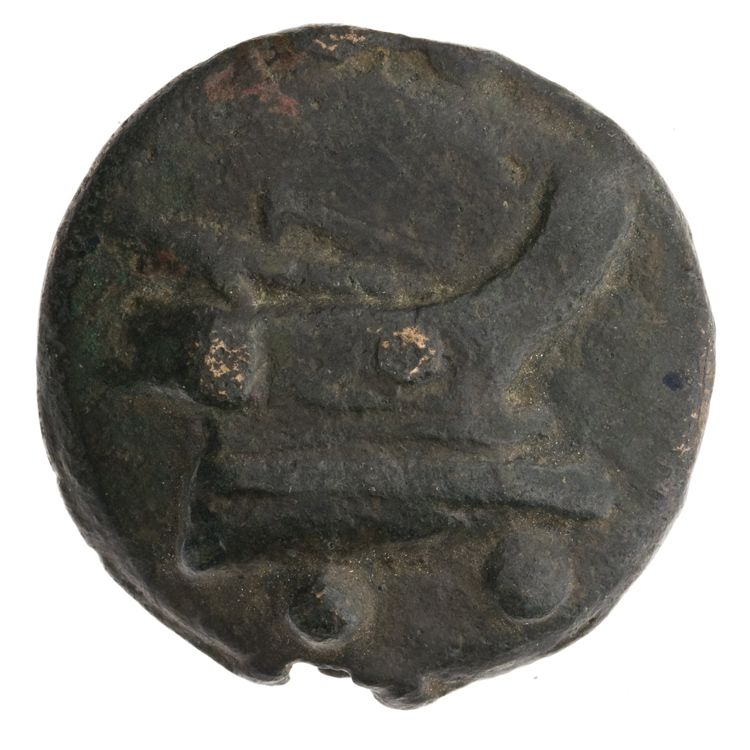 RRC 35/5, реверс, American Numismatic Society (ans)