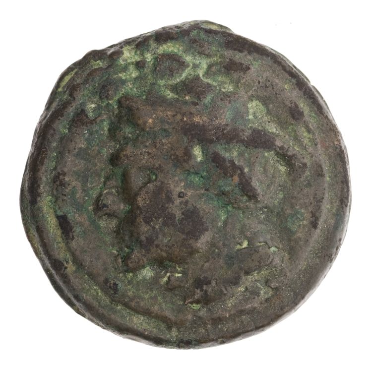 RRC 35/5, аверс, American Numismatic Society (ans)
