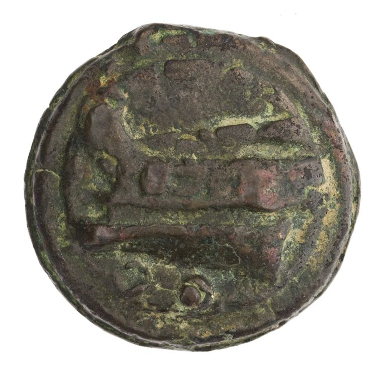 RRC 35/5, реверс, American Numismatic Society (ans)
