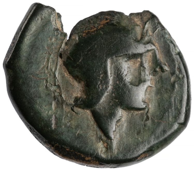 RRC 41/7a, аверс, American Numismatic Society (ans)