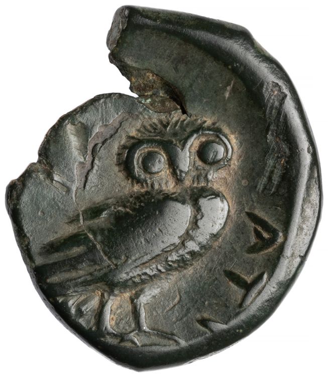 RRC 41/7a, реверс, American Numismatic Society (ans)