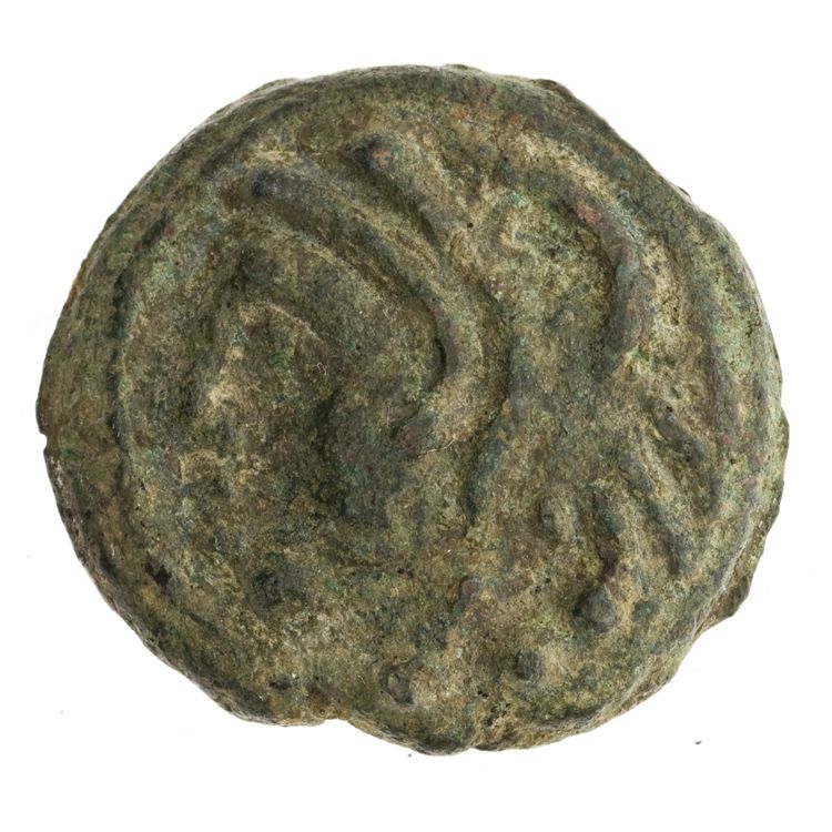 RRC 38/4, аверс, American Numismatic Society (ans)