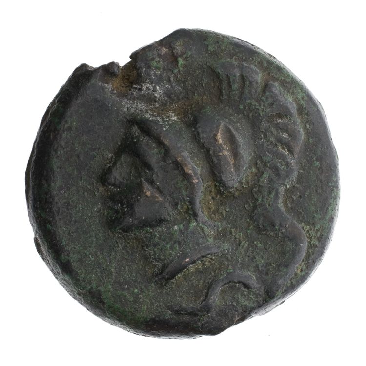 RRC 14/2, obverse, American Numismatic Society (ans)