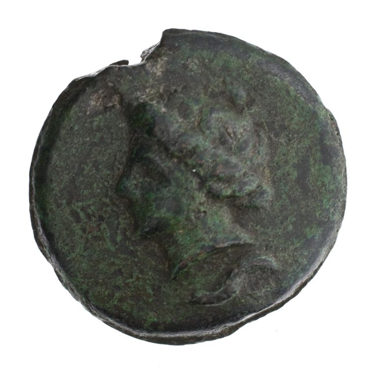 RRC 14/2, reverse, American Numismatic Society (ans)