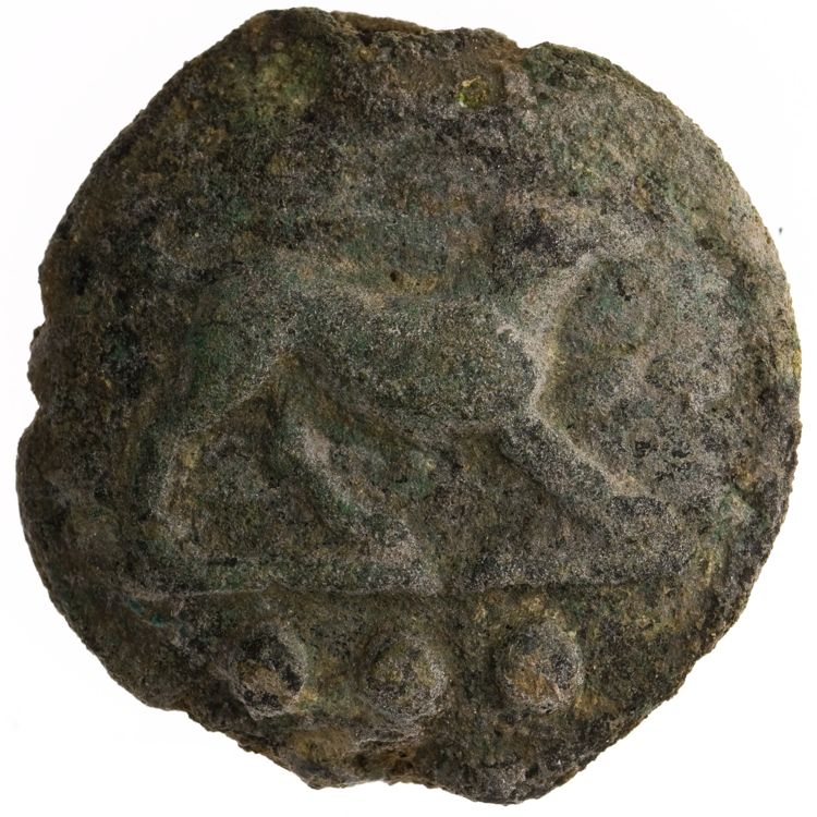 RRC 24/6a, аверс, American Numismatic Society (ans)