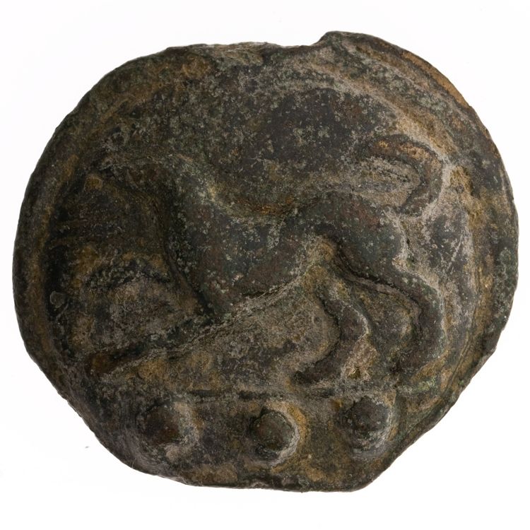 RRC 24/6a, аверс, American Numismatic Society (ans)