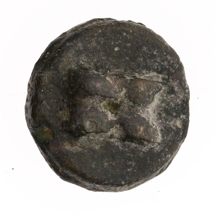 RRC 21/6, реверс, American Numismatic Society (ans)