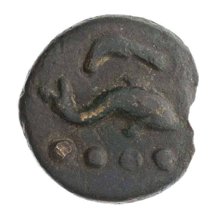 RRC 25/6, аверс, American Numismatic Society (ans)