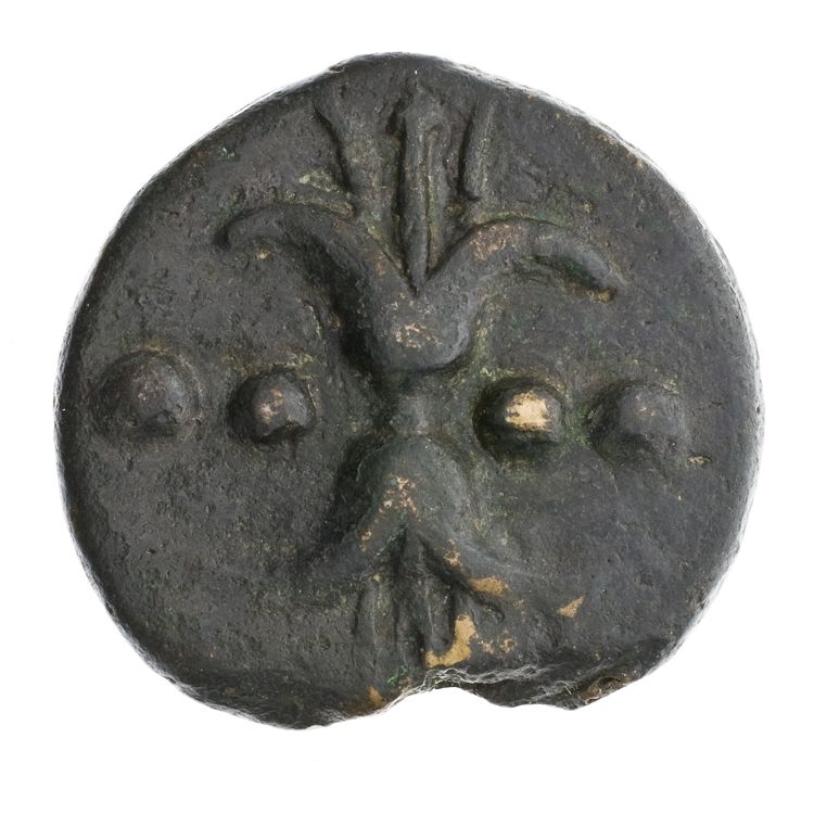 RRC 25/6, реверс, American Numismatic Society (ans)