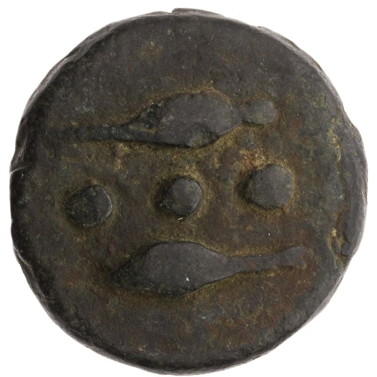 RRC 25/7, аверс, American Numismatic Society (ans)