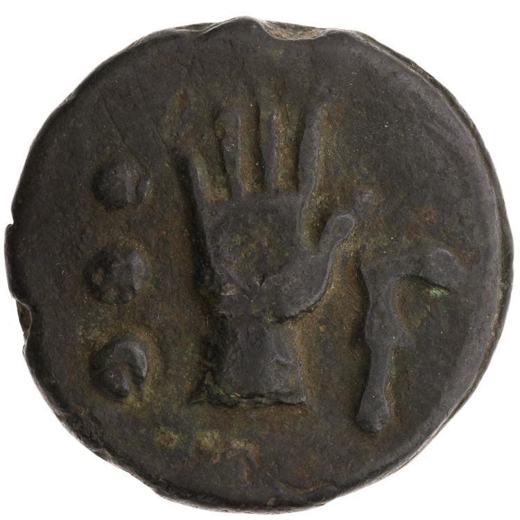 RRC 25/7, реверс, American Numismatic Society (ans)