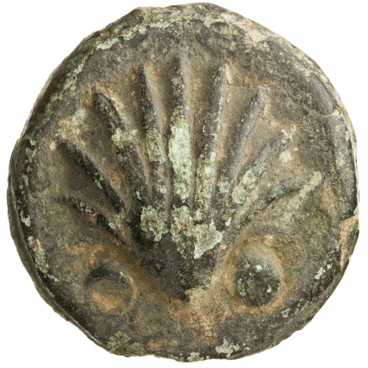 RRC 25/8, аверс, American Numismatic Society (ans)