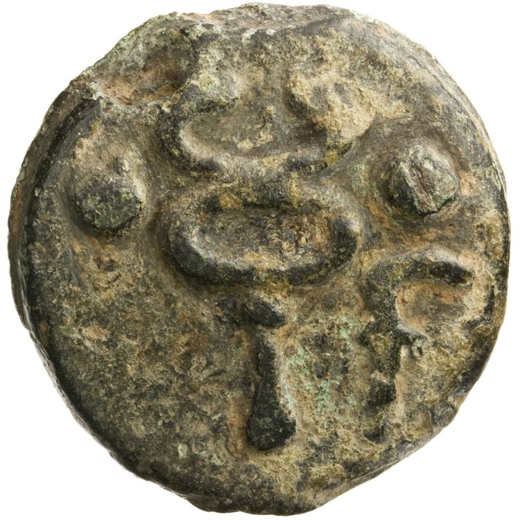 RRC 25/8, реверс, American Numismatic Society (ans)