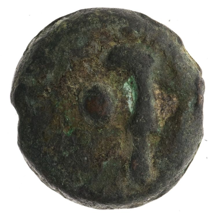 RRC 25/9, реверс, American Numismatic Society (ans)