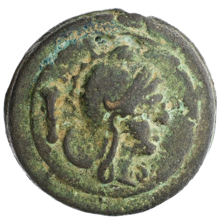 RRC 27/5, obverse, American Numismatic Society (ans)