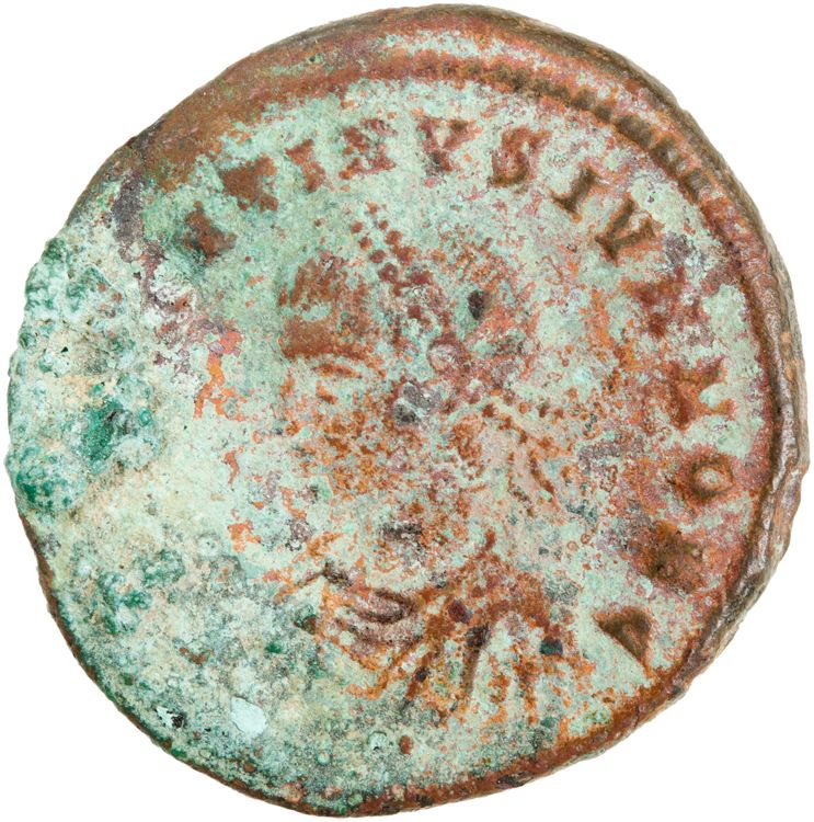 RIC VII Cyzicus 26, obverse, American Numismatic Society (ans)