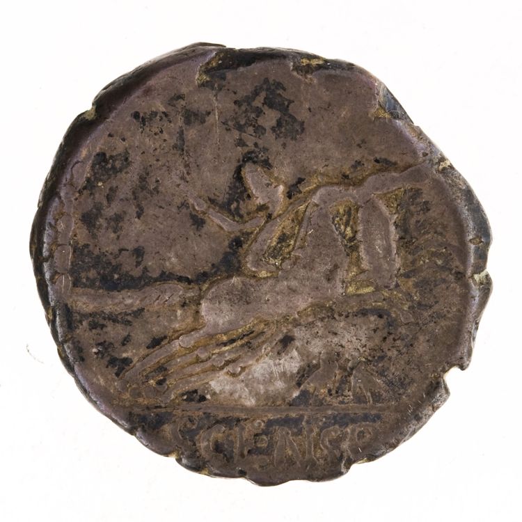 RRC 346/1c, реверс, American Numismatic Society (ans)