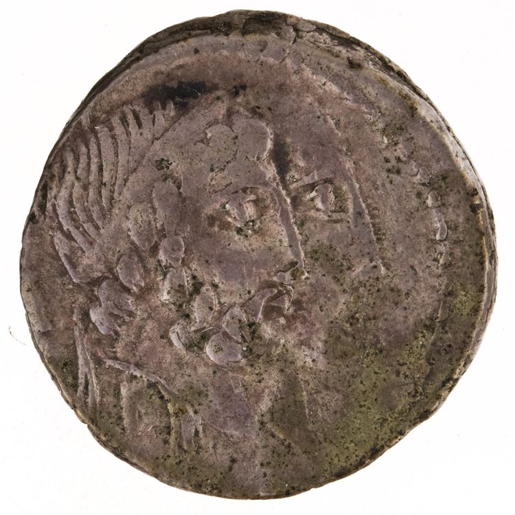 RRC 346/1c, аверс, American Numismatic Society (ans)