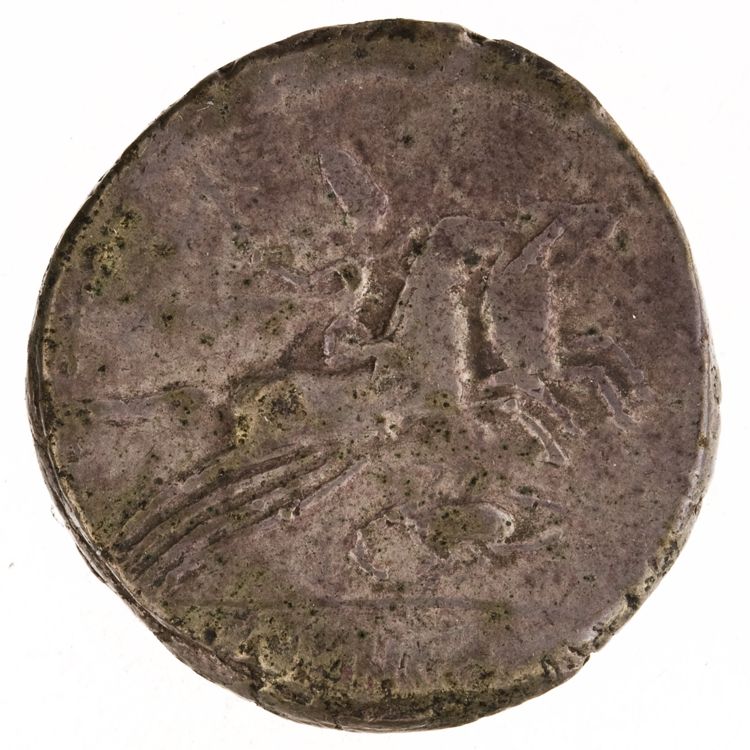 RRC 346/1c, реверс, American Numismatic Society (ans)