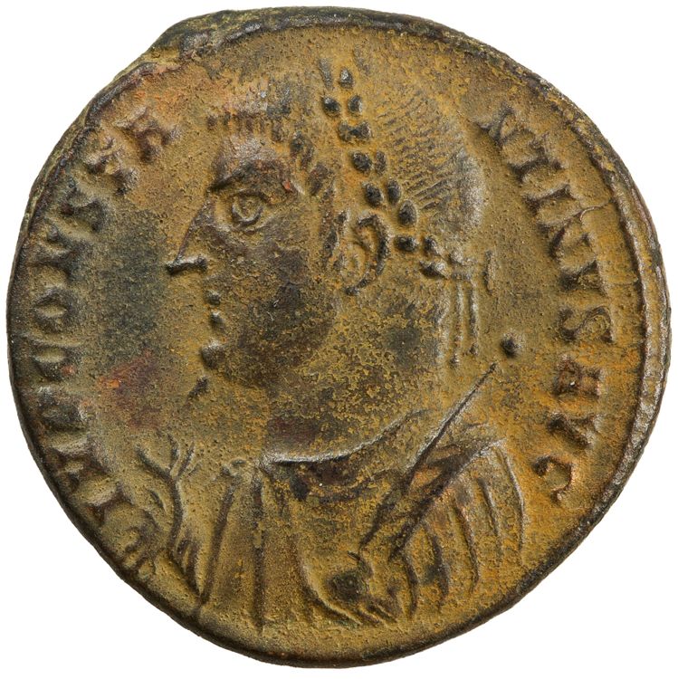RIC VII Heraclea 16, obverse, American Numismatic Society (ans)