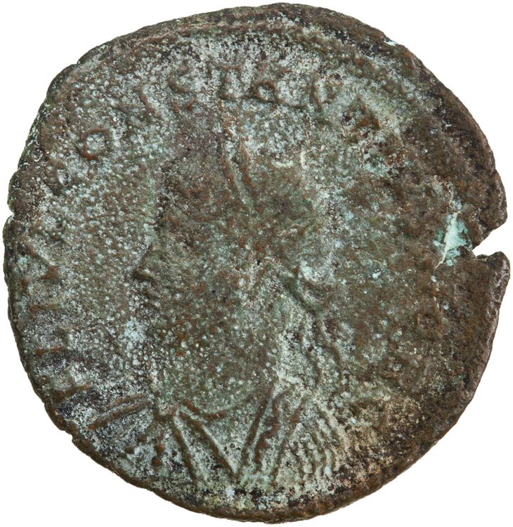 RIC VII Heraclea 84, obverse, American Numismatic Society (ans)