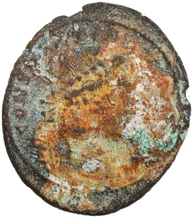 RIC VII Heraclea 117, аверс, American Numismatic Society (ans)