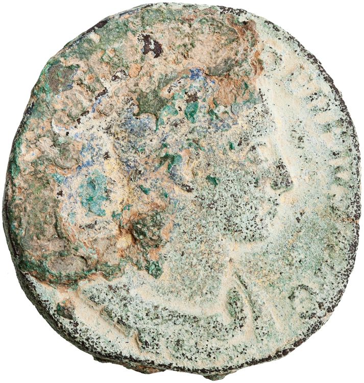 RIC IV Severus Alexander 648c, аверс, American Numismatic Society (ans)