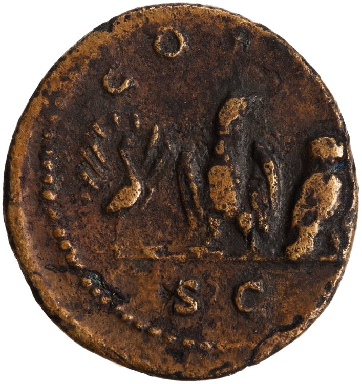 RIC III Antoninus Pius 709B, реверс, American Numismatic Society (ans)