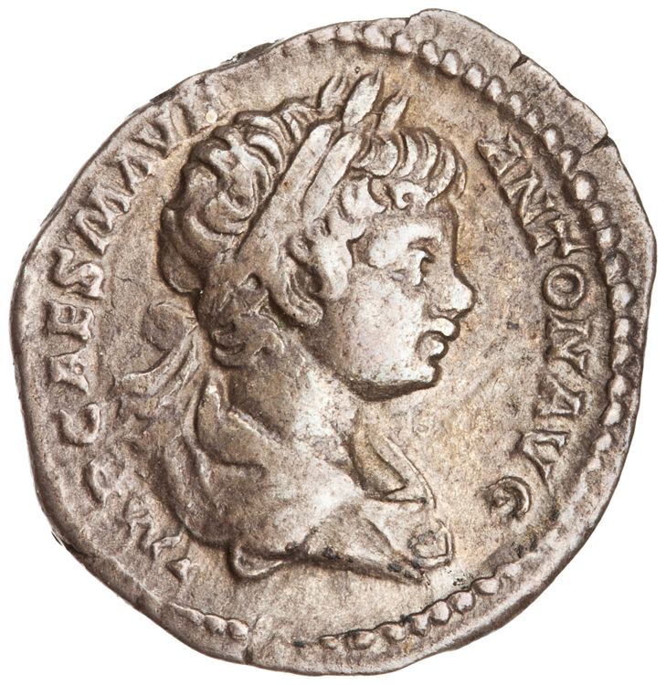 RIC IV Caracalla 21, аверс, American Numismatic Society (ans)