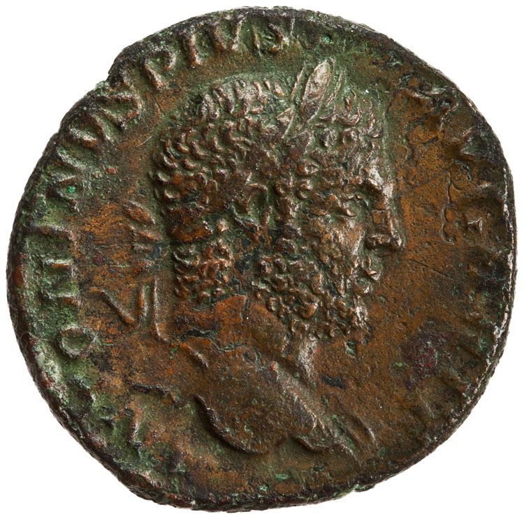 RIC IV Caracalla 489, аверс, American Numismatic Society (ans)