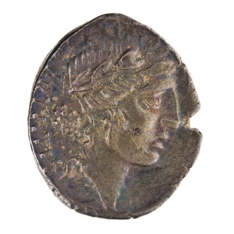 RRC 449/4, obverse, American Numismatic Society (ans)