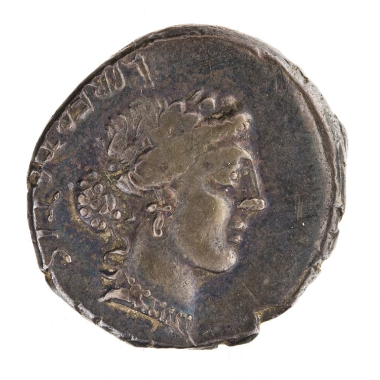 RRC 449/4, obverse, American Numismatic Society (ans)