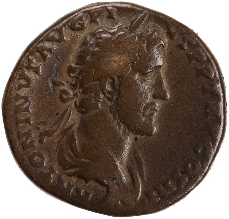 RIC III Antoninus Pius 600b, аверс, American Numismatic Society (ans)