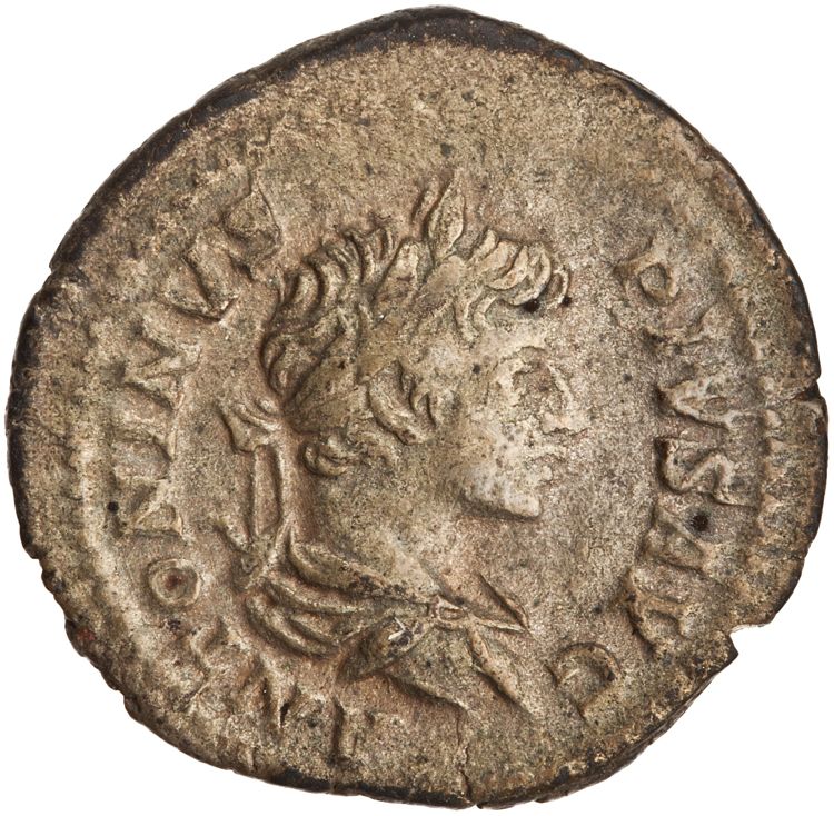 RIC IV Caracalla 130A (denarius), obverse, American Numismatic Society (ans)