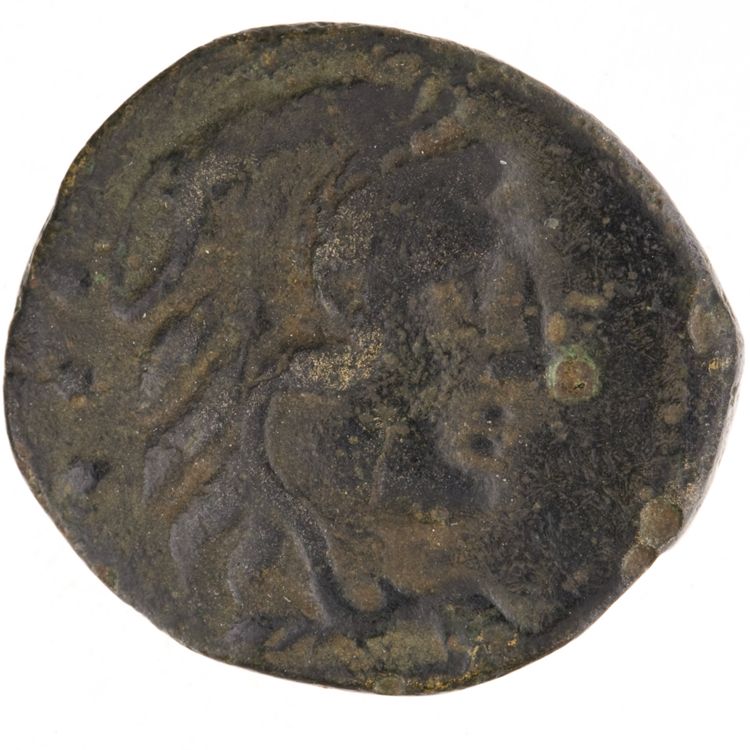 RRC 265/3, аверс, American Numismatic Society (ans)