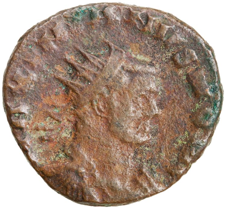 RIC VI Rome 89b, аверс, American Numismatic Society (ans)