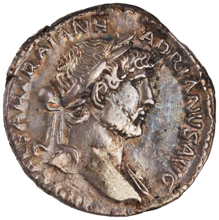RIC II Hadrian 77b, аверс, American Numismatic Society (ans)