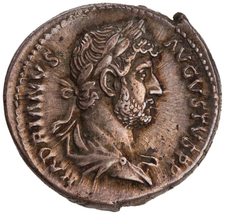 RIC II Hadrian 362e, obverse, American Numismatic Society (ans)