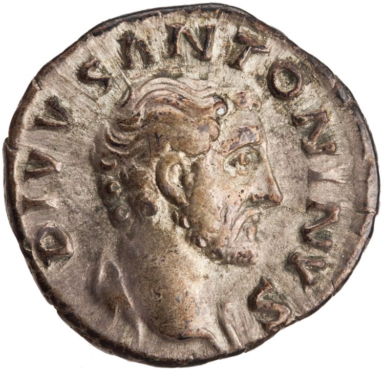 RIC III Marcus Aurelius 438, аверс, American Numismatic Society (ans)