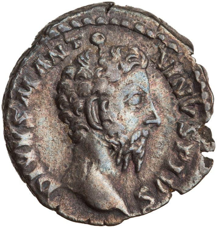 RIC III Commodus 275 (denarius), аверс, American Numismatic Society (ans)