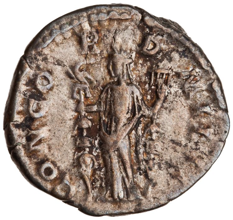 RIC IV Didius Julianus 1 (denarius), реверс, American Numismatic Society (ans)