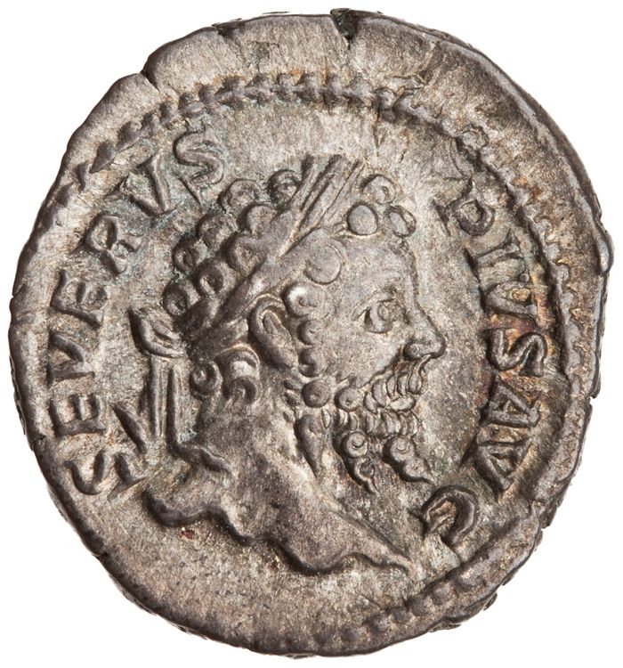 RIC IV Septimius Severus 196 (denarius), аверс, American Numismatic Society (ans)