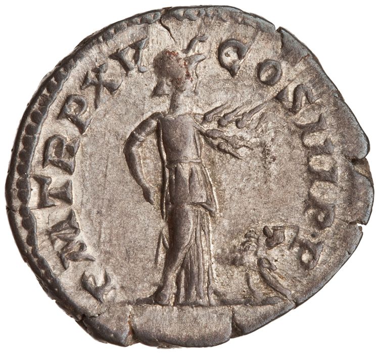 RIC IV Septimius Severus 207, реверс, American Numismatic Society (ans)