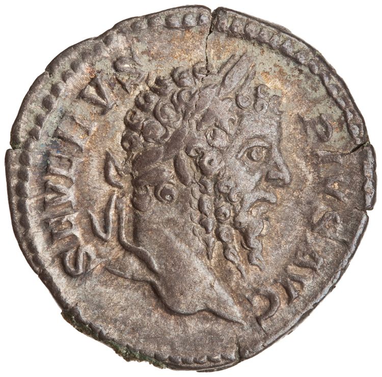 RIC IV Septimius Severus 220, аверс, American Numismatic Society (ans)