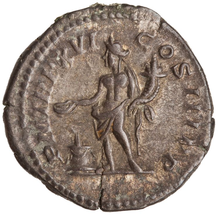 RIC IV Septimius Severus 220, реверс, American Numismatic Society (ans)