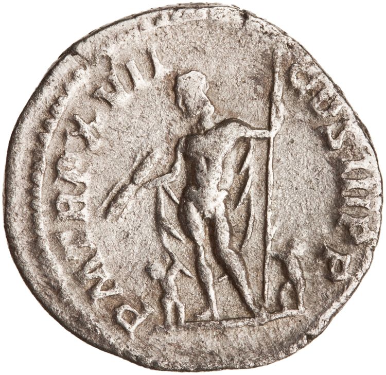 RIC IV Septimius Severus 226, реверс, American Numismatic Society (ans)