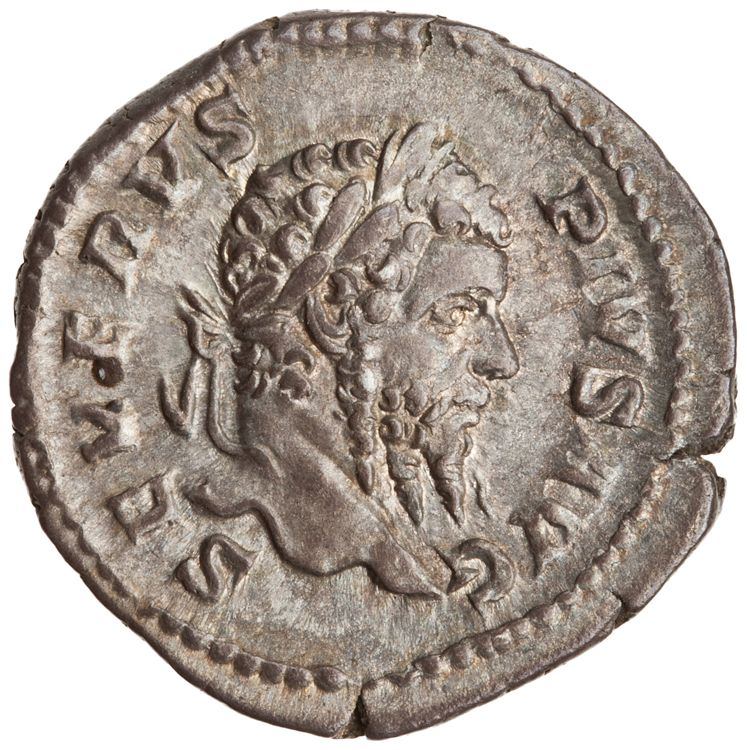 RIC IV Septimius Severus 226, аверс, American Numismatic Society (ans)